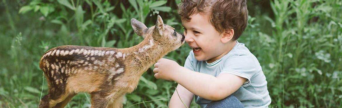 Toutes les collections de chambres enfants sur le thème des animaux